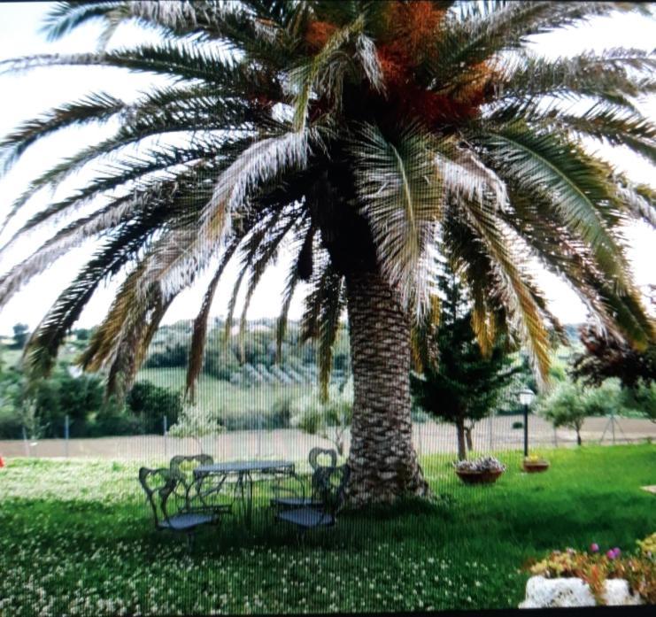 Fontebella Montemarciano Exterior foto